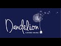 The story about the Dandelion Journey. Part 1 - Renovating. Part 2 coming soon!