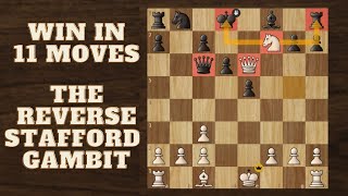 The “REVERSE STAFFORD” GAMBIT🔥|| MATE In 11 Moves || Opening Trap for White