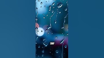 Why do rainbows appear after rain?