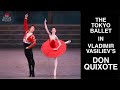   the tokyo ballet in vladimir vasilievs don quixote