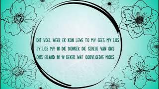 Juan boucher & Tasché-  Suid  (Lirieke/Lyrics)