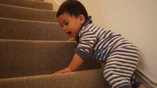 Max's first steps
