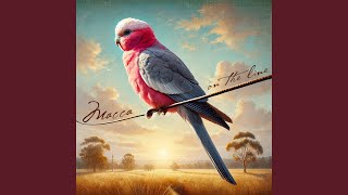 Just One Time (feat. Andra Muhoberac) - Ian McNamara