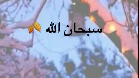 ما تيسر من القرآن سورة الحجر للقارئ "هزاع البلوشي