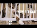 We have a baby! / New pet gate