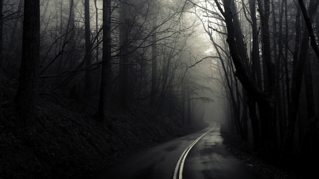 Sad forest orchestral synthesizer music YouTube