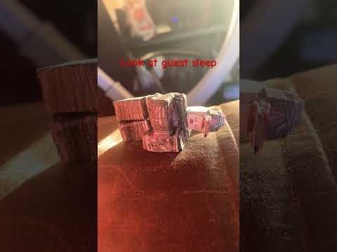 Guest is just sleeping #music