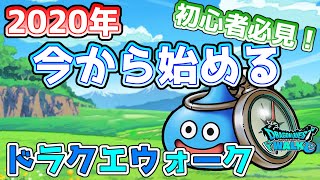 ドラクエウォーク 今から始めるドラゴンクエストウォーク 初心者必見 まず何から進めればいいのかを解説します Youtube