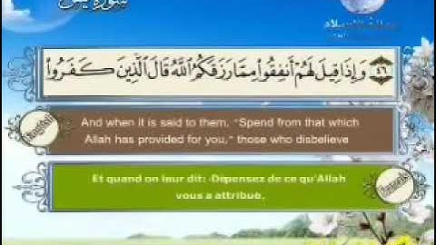 ماتيسر من سورة يس تلاوة الشيخ مصطفى اللاهوني