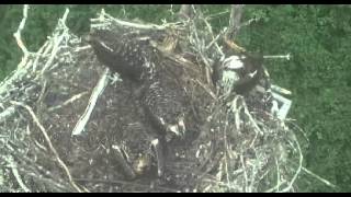 2014-07-15 WHOI 0429pm 10min