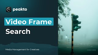 Peakto Tools | Video Frame Search