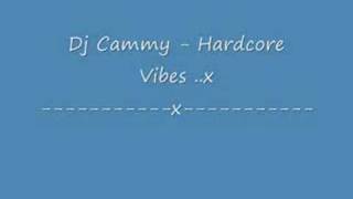 dj cammy - hardcore vibes -x