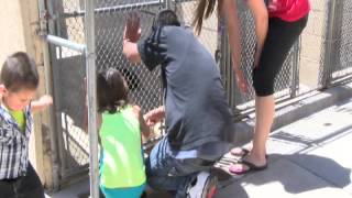 Amarillo's Mayor addresses animal control concerns
