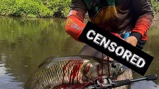 Coração Parou E O Trairão Trairoupescaria