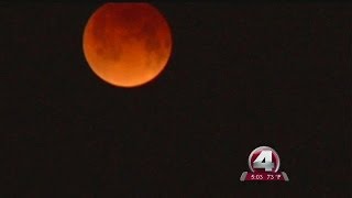 Blood moon over Southwest Florida