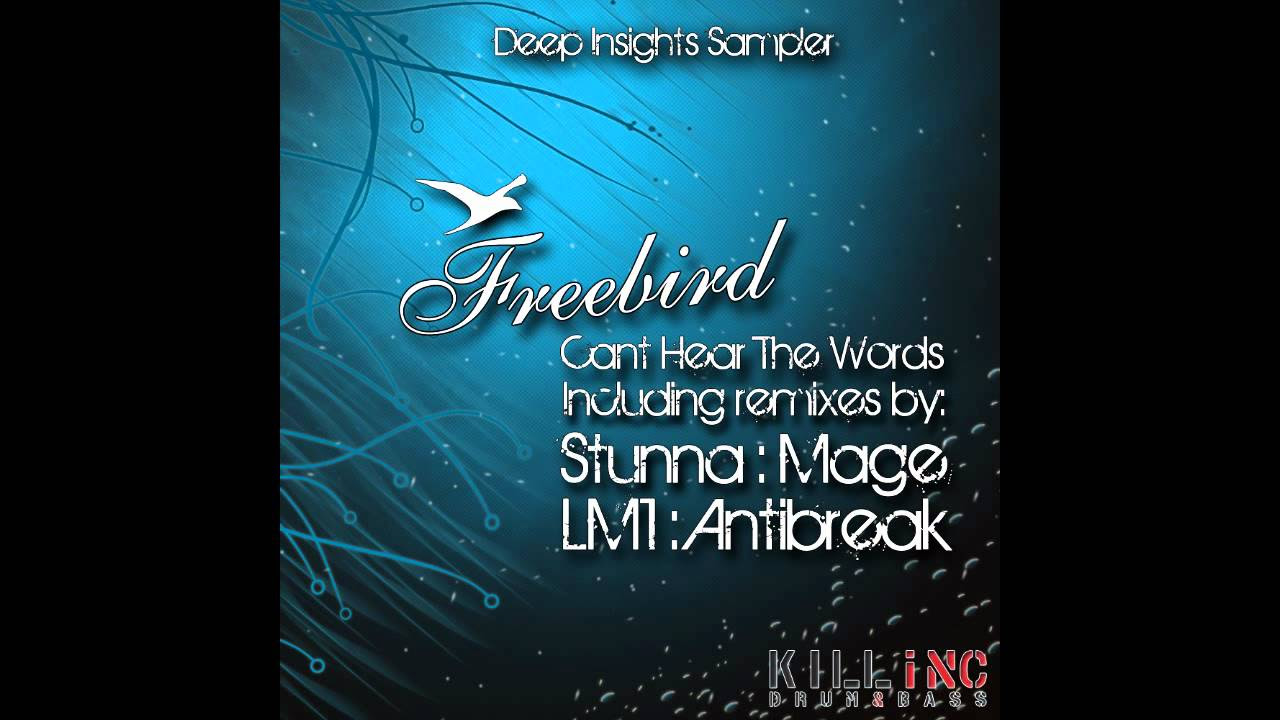 FreeBird - Cant Hear The Words (Stunna Remix) [KINC044]
