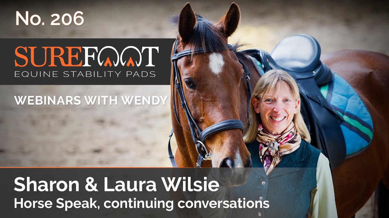 No. 206. Sharon Wilsie Horse Speak continuing conversations YouTube