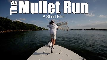 Mullet Run Highlight  - Lunkerdog Cast Net