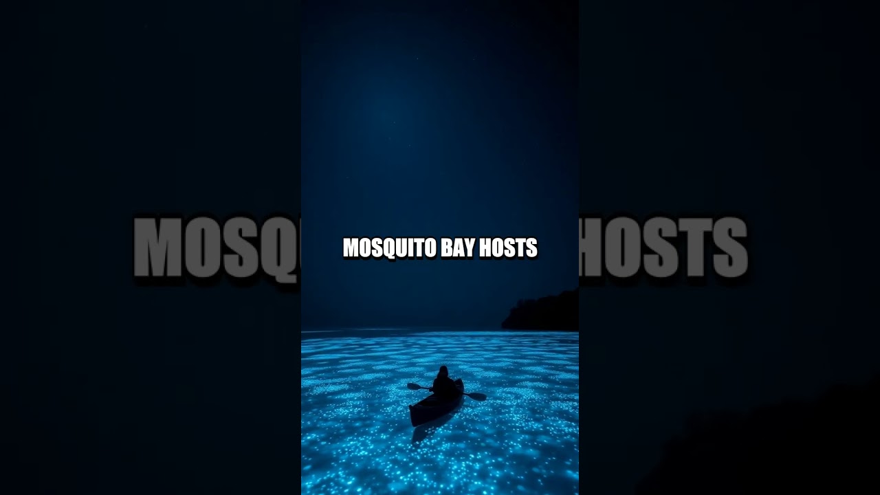 Secret Shores The 3 Most Surprising Hidden Beach Wonders