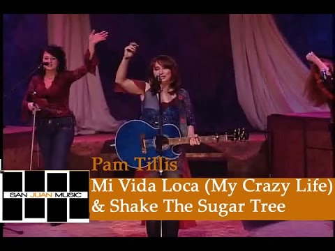 Pam Tillis Live Mi Vida Loca My Crazy Life Shake The Sugar