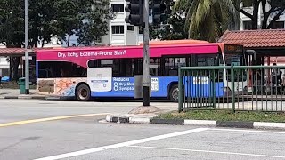 (Derma Full Body Advertisement) SBS6033S(UPDEP 51) On Service 132 At Ang Mo Kio Avenue 3