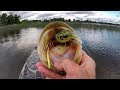 Frog Bassin' Before The Storm