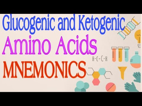 Glucogenic and Ketogenic Amino Acids MNEMONICS | Lecture 3 - YouTube