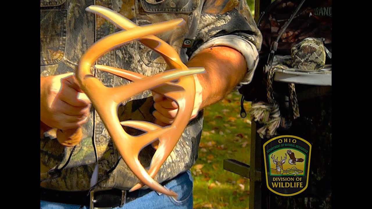 Rattling Techniques to Attract Bucks YouTube
