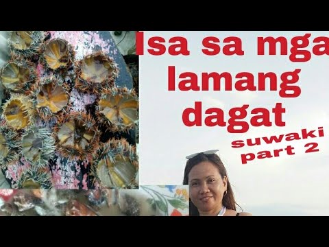 Video: Saan ka makakapagpahinga sa tabi ng dagat sa tagsibol?