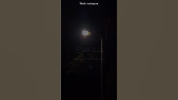 كلا إن الإنسان ليطغى تلاوة هادئة من سورة العلق بصوت القارئ الشيخ محم د صديق المنشاوي