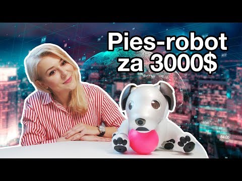 Wideo: Ile kosztuje pies-robot Aibo?