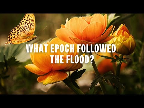 Video: Hvilken epoke følger Oligocæn?