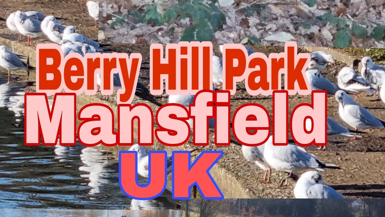 Berry Hill Park, Mansfield UK PinayNene life in UK YouTube