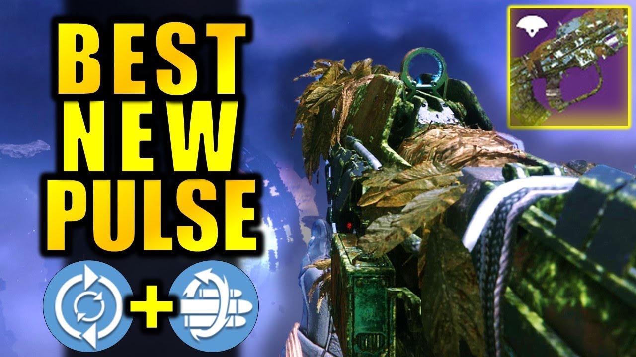 It took 4 Days of Grinding to get this God Roll... | Destiny 2: Shadowkeep