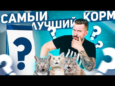 Видео: Корм для кошек становится слишком реальным