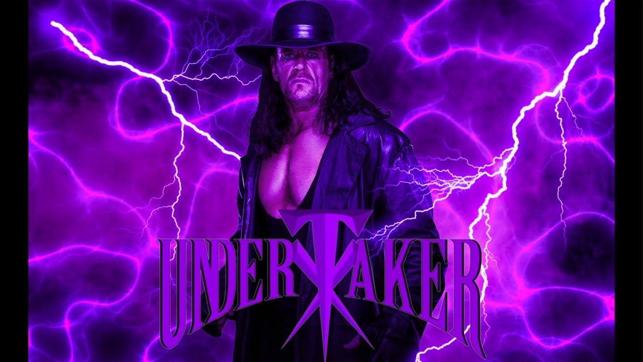 UNDERTAKER MATCHES WATCH ALONG WITH Johnny a