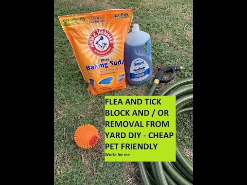 Flea and Tick In your yard Killer / Preventer DIY Cheap - works for me