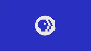 WNET/PBS (2020)