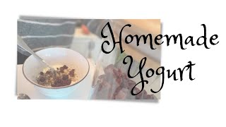 Easy Endless Homemade YOGURT | NEVER buy yogurt again!