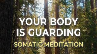 Your Body Has Been Carrying This for Years | Somatic Meditation for Chronic Tension and Pain