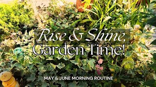 Morning Garden Routine With My Plants For May And June