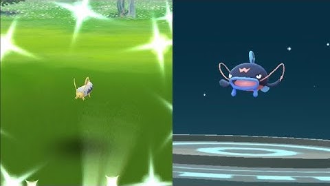 WE CAUGHT SHINY BARBOACH! POKEMON GO SHINY BARBOACH EVOLVES INTO SHINY WHISCASH!