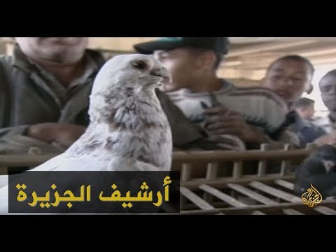 سوق الجمعة.. ملاذ لهواة الحيوانات في مصر 1999/1/29