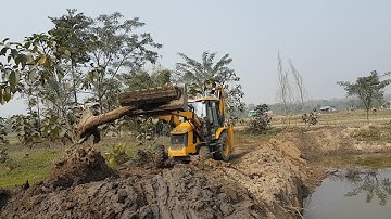 JCB Dozer Throwing Out Tree From The Edge Of The Lake - JCB VIDEO