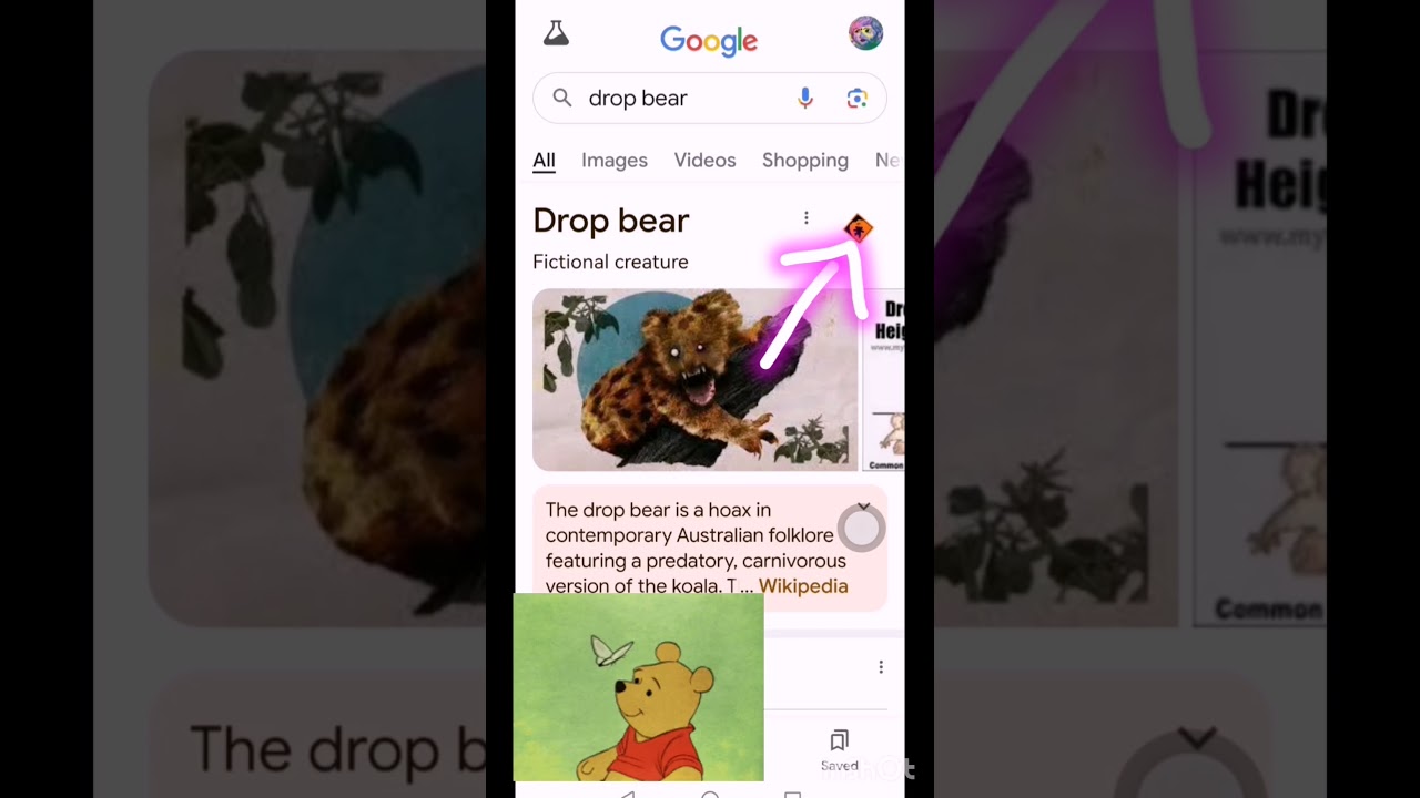 Google Drop Bear - YouTube