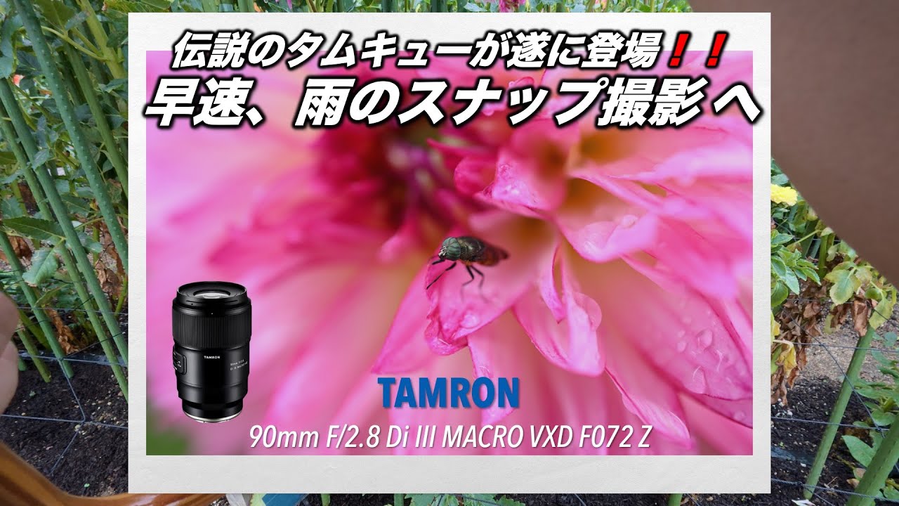 伝説のタムキュー TAMRON 90mm F2.8 Di III MACRO VXD F072 Z 雨