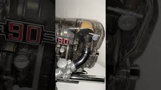 IMG 9882