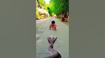 Big snake chasing baby 🐍😱 #shorts #bigsnake #snake