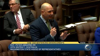Rep. Peter Abbarno speaks against reducing sentences for gang-related crimes