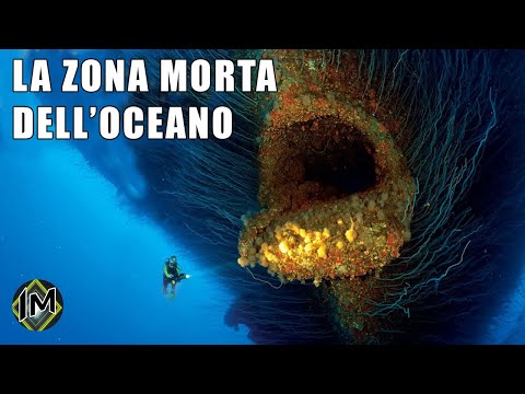 Video: Cosa C'è Nella Zona Morta Dell'oceano - Visualizzazione Alternativa